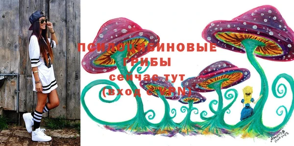 ГАЛЛЮЦИНОГЕННЫЕ ГРИБЫ Верхний Тагил
